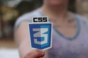 CSS – The language that allows you to style your website